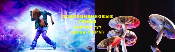 эйфоретик Снежногорск