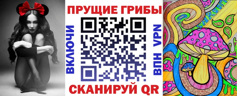 Галлюциногенные грибы мицелий  Купить где  Махачкала 