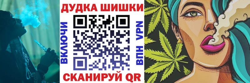 Бошки Шишки план  Купить закладки  Махачкала 